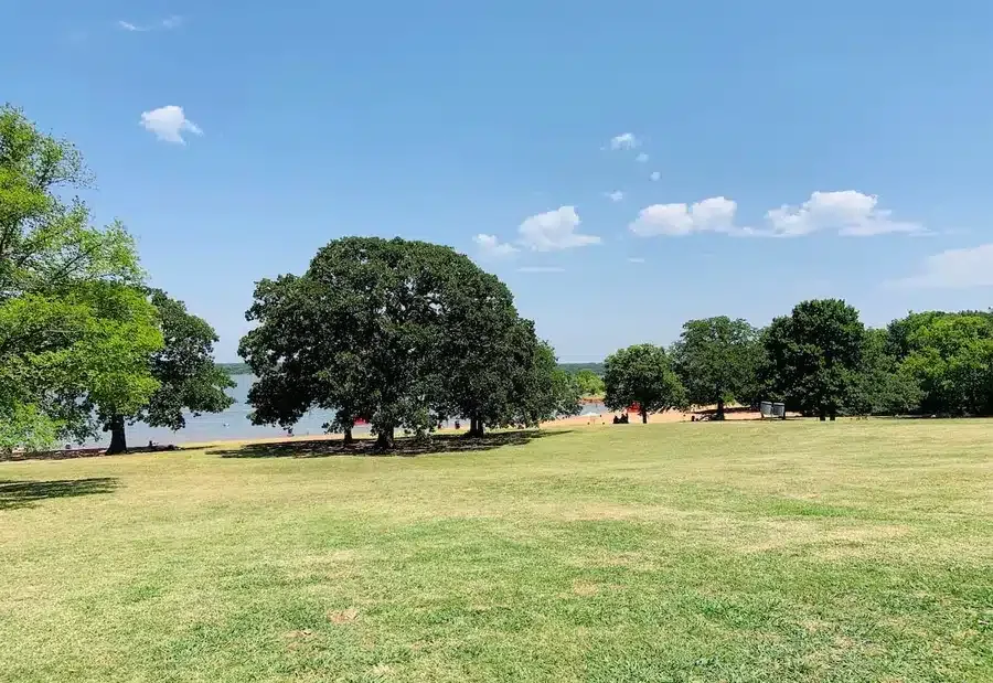 A wide grassy field with scattered trees under a clear blue sky.