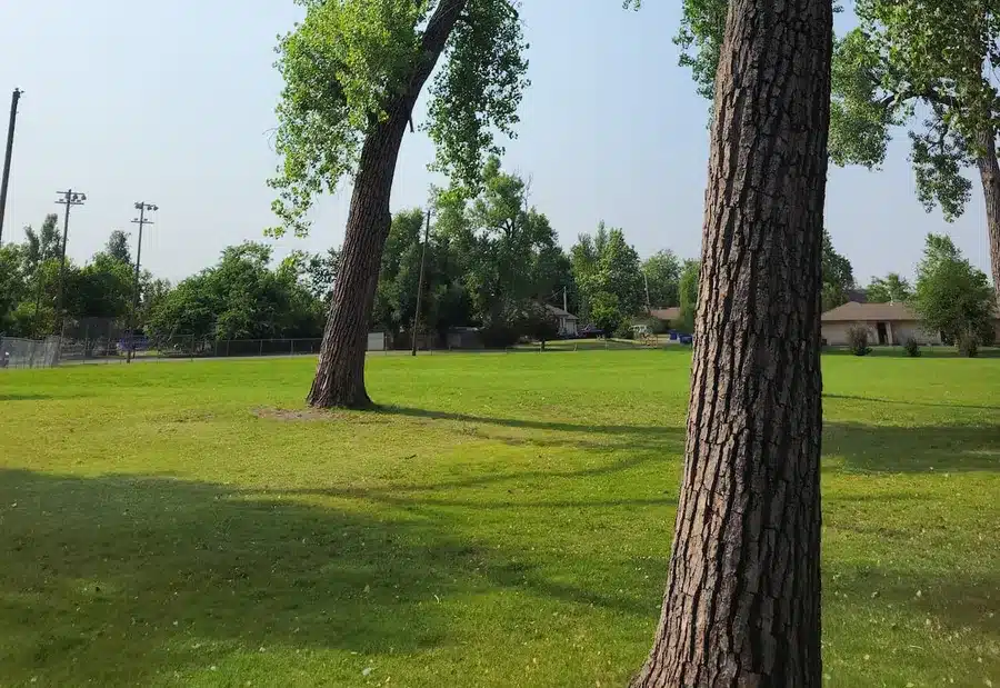 Thumbnail-For-Mustang Old City Park-By-Yarbrough & Sons